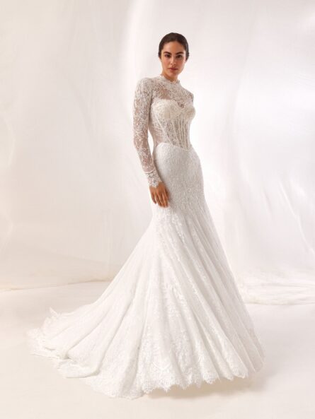 Pronovias Veinra bröllopsklänning - Bild 4